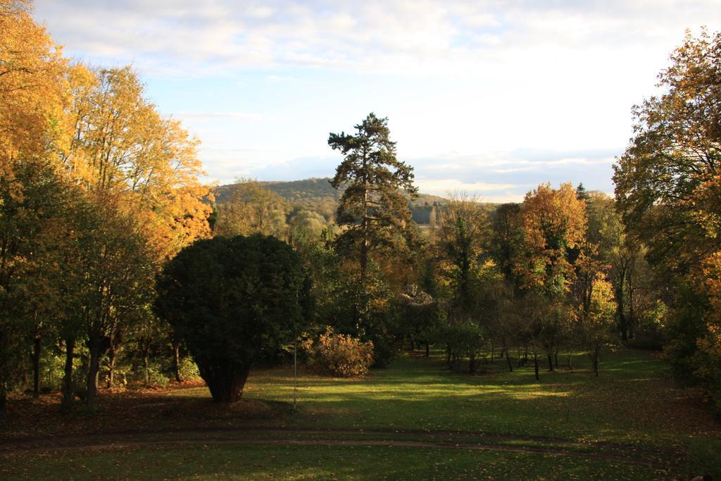 Villa Du Chatelet Choisy-au-Bac Cameră foto